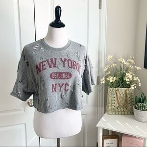 Thrashed New York Theme Crop